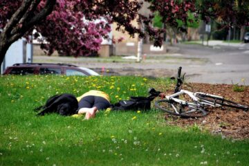 Radfahrerkollision mit freilaufendem Hund – Beweislast des geschädigten Radfahrers